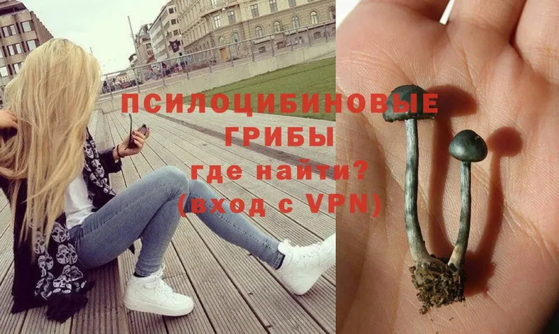 Псилоцибиновые грибы прущие грибы  shop наркотические препараты  Алексин 